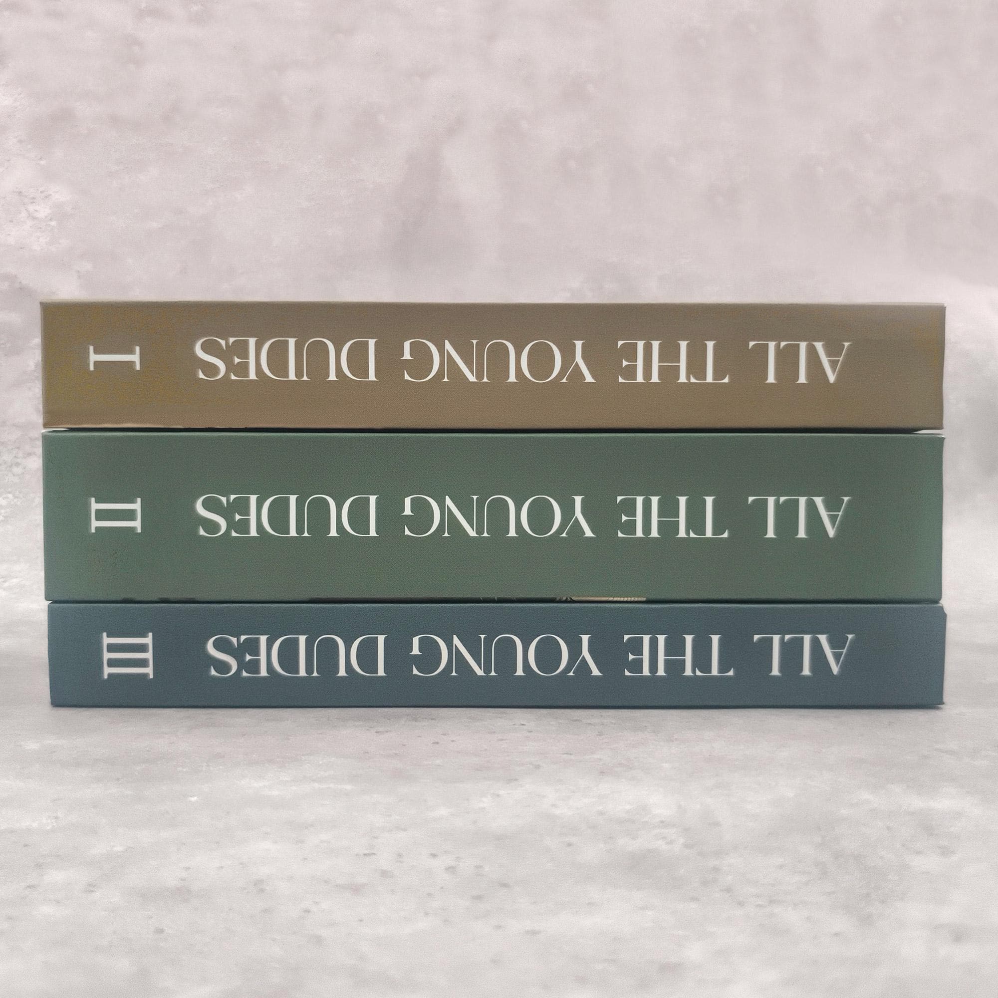All The Young Dudes, Hardcover Book, 3 - Book Complete Series, Written by MsKingBean89