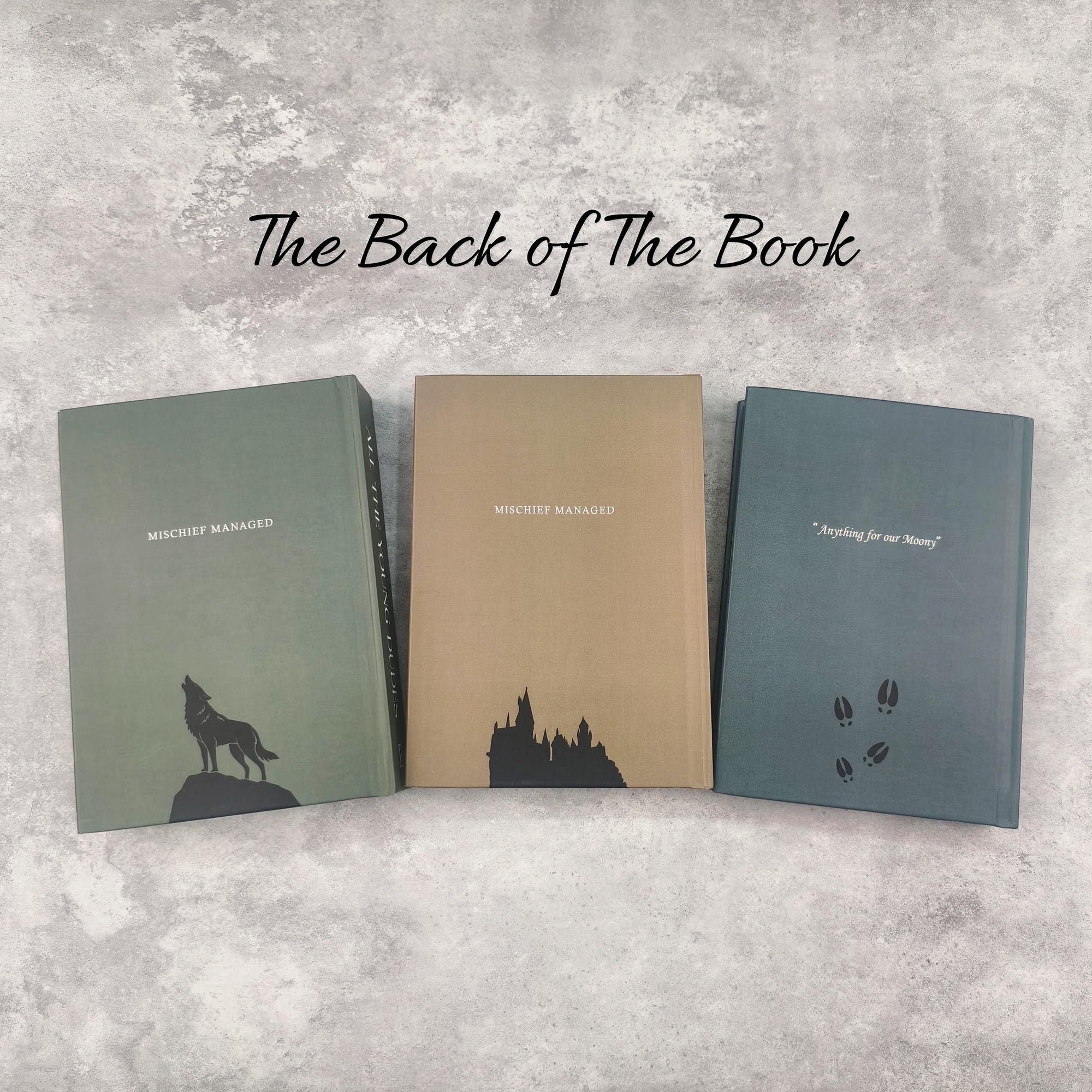 All The Young Dudes, Hardcover Book, 3 - Book Complete Series, Written by MsKingBean89