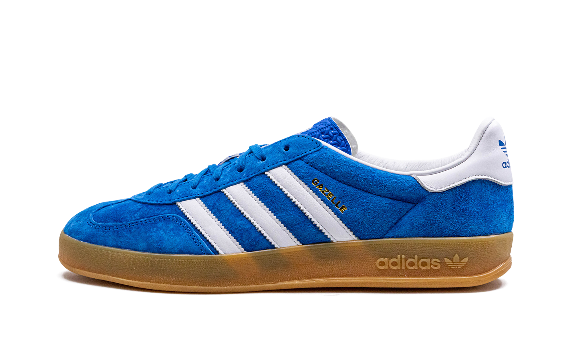 Gazelle Indoor "Blue Bird"