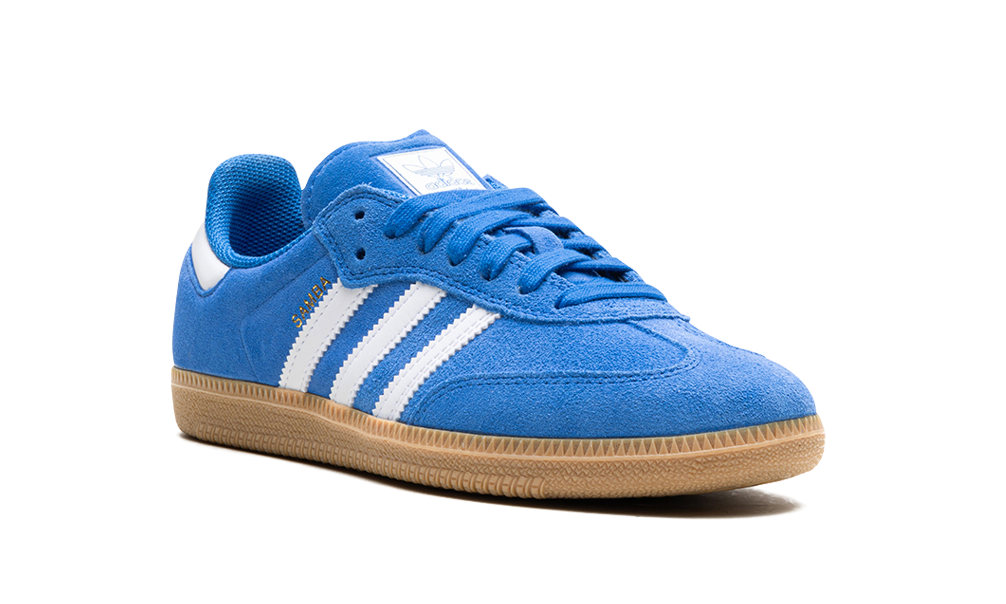 Samba Adv "Blue Bird"