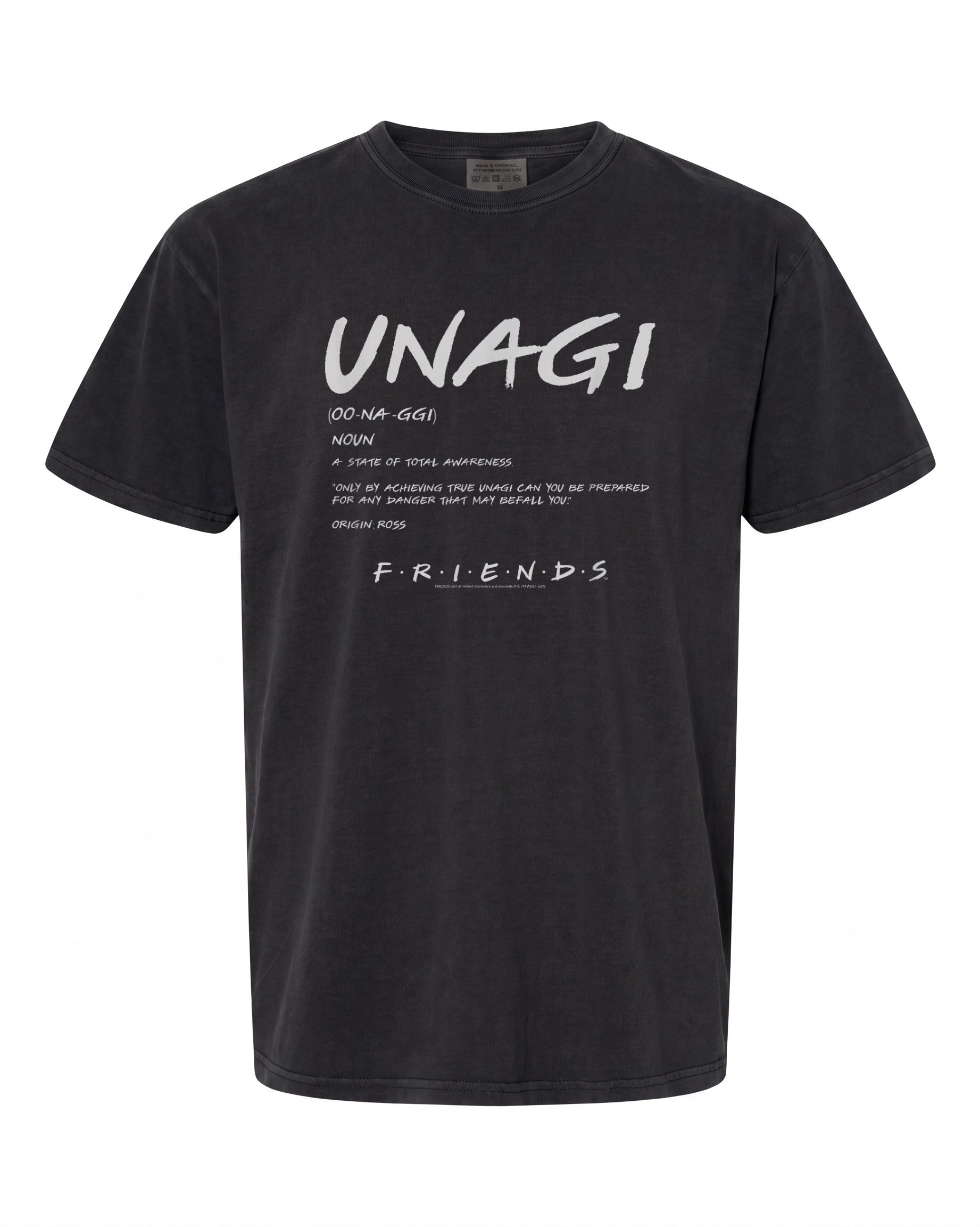 Friends Unagi Definition T-Shirt - Perfect Gift for Fans | Premium Quality