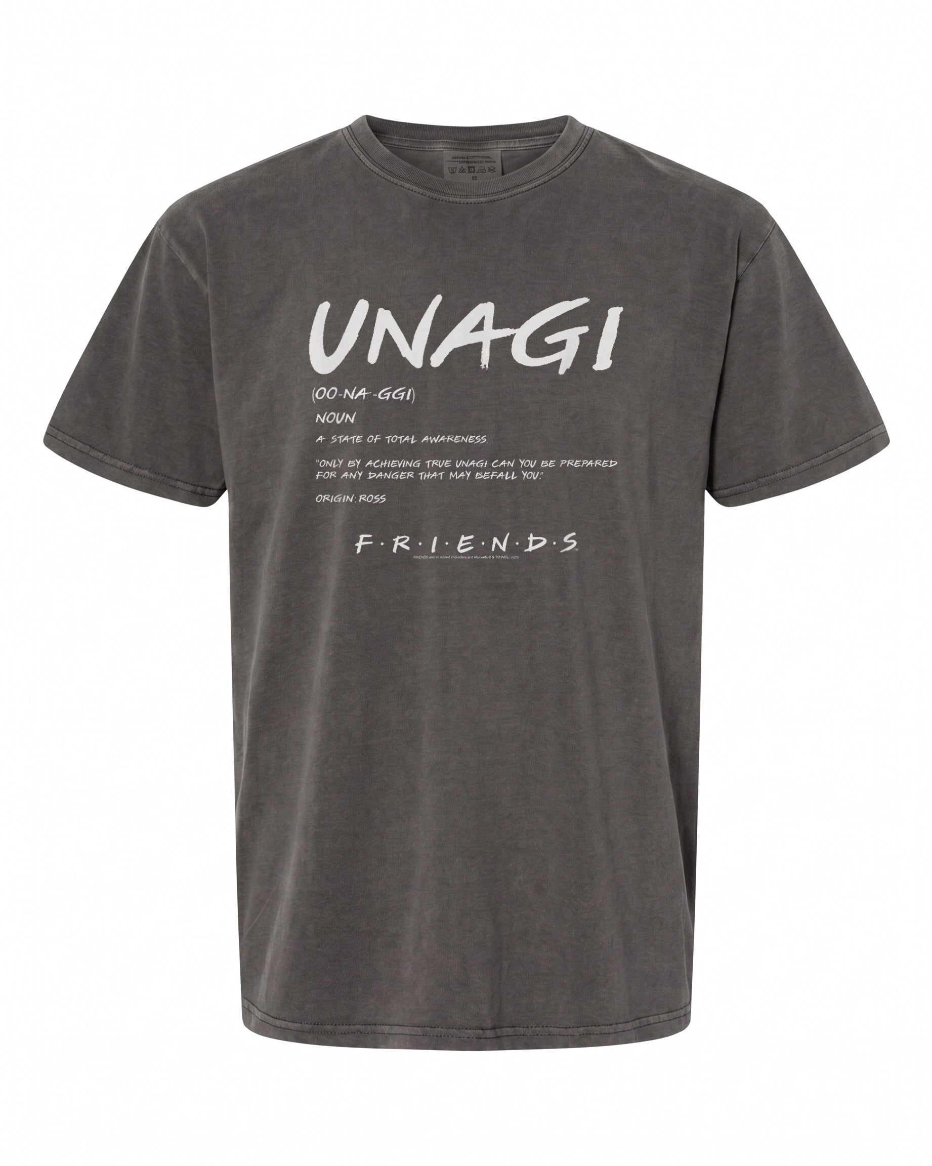 Friends Unagi Definition T-Shirt - Perfect Gift for Fans | Premium Quality
