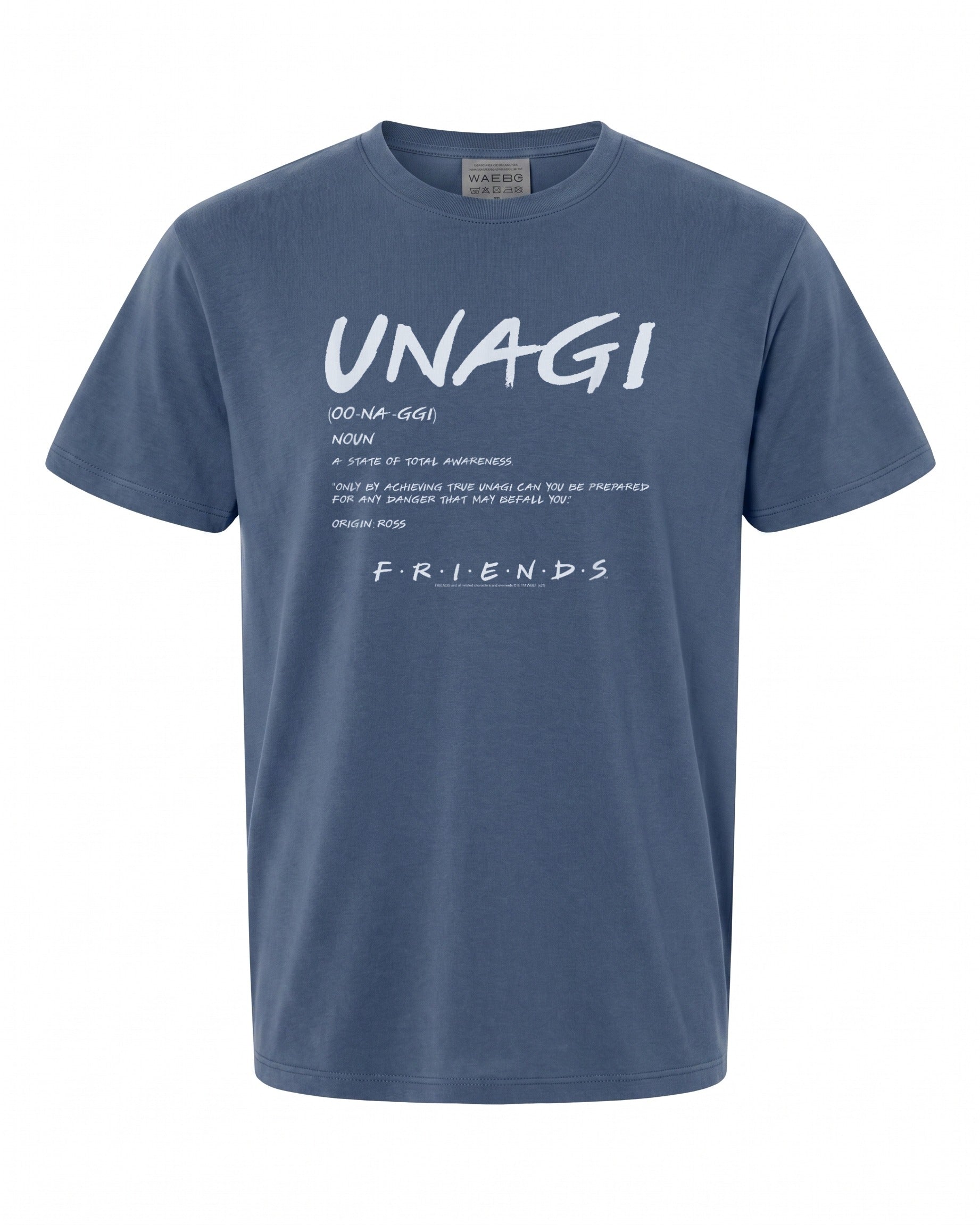 Friends Unagi Definition T-Shirt - Perfect Gift for Fans | Premium Quality