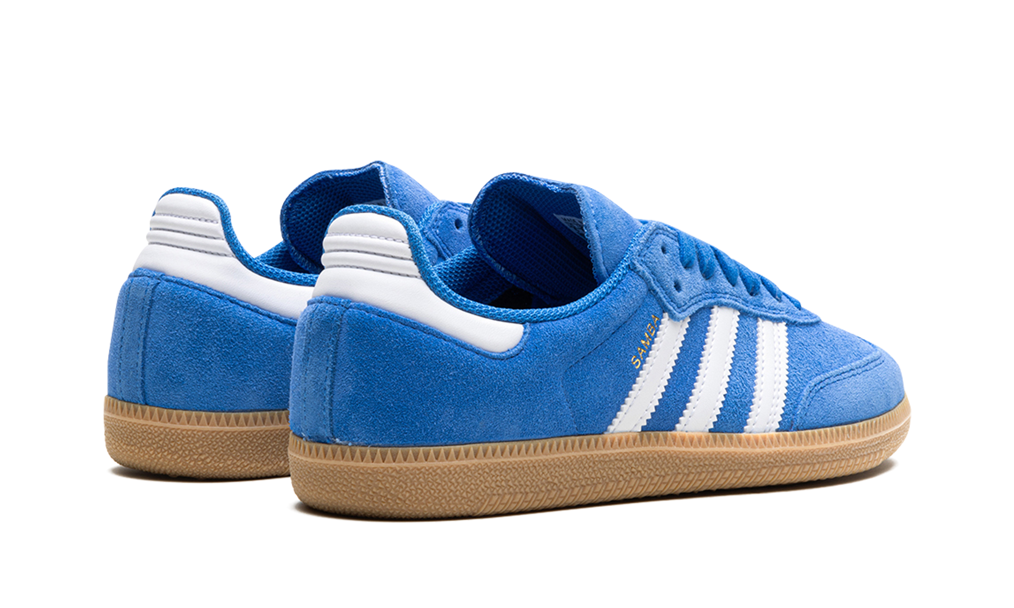 Samba Adv "Blue Bird"