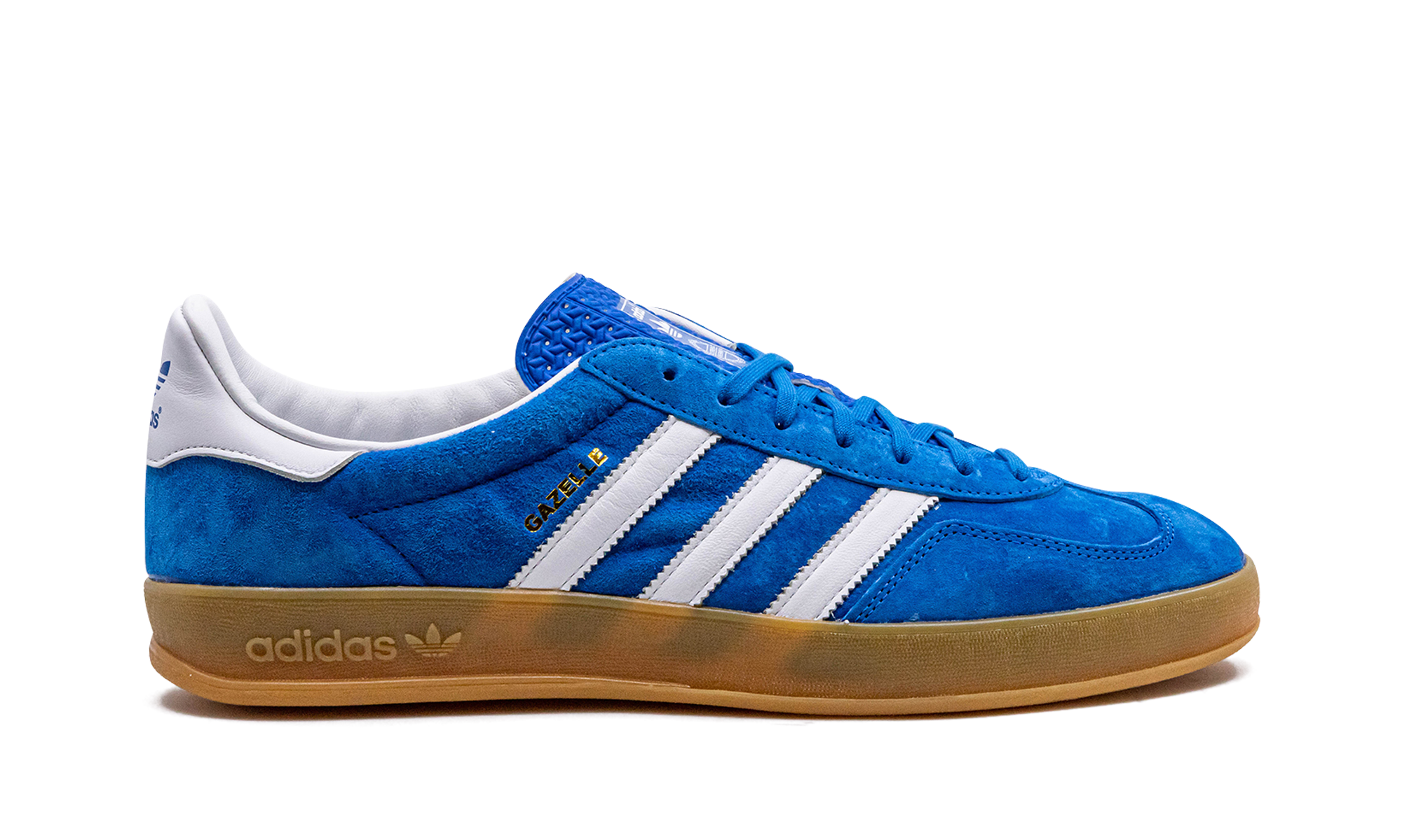 Gazelle Indoor "Blue Bird"