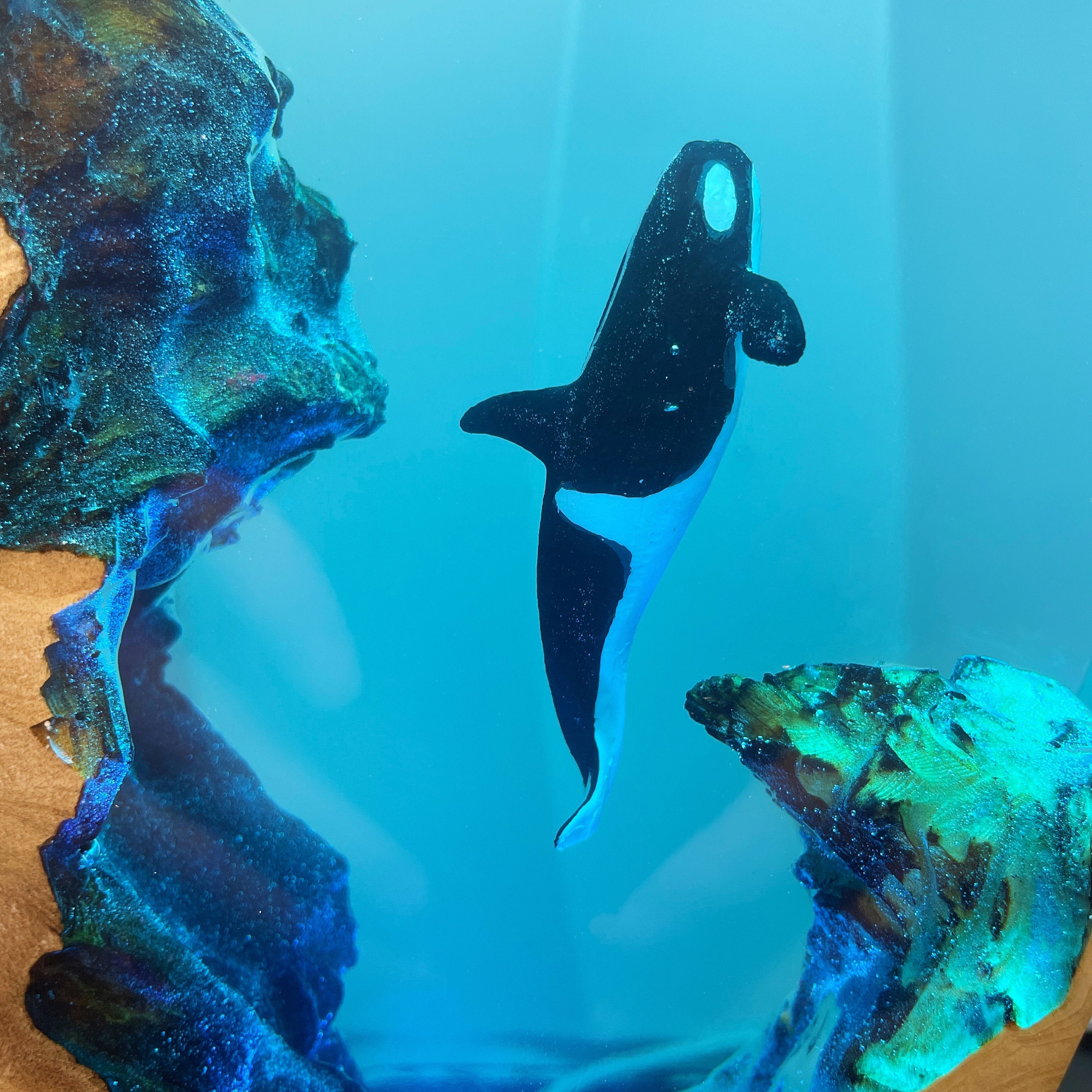 Epoxy Resin Orca Lamp, Undersea Diver Scene, Handmade Wood Base, Diver Encounters Killer Whale, Christmas Gift For Family