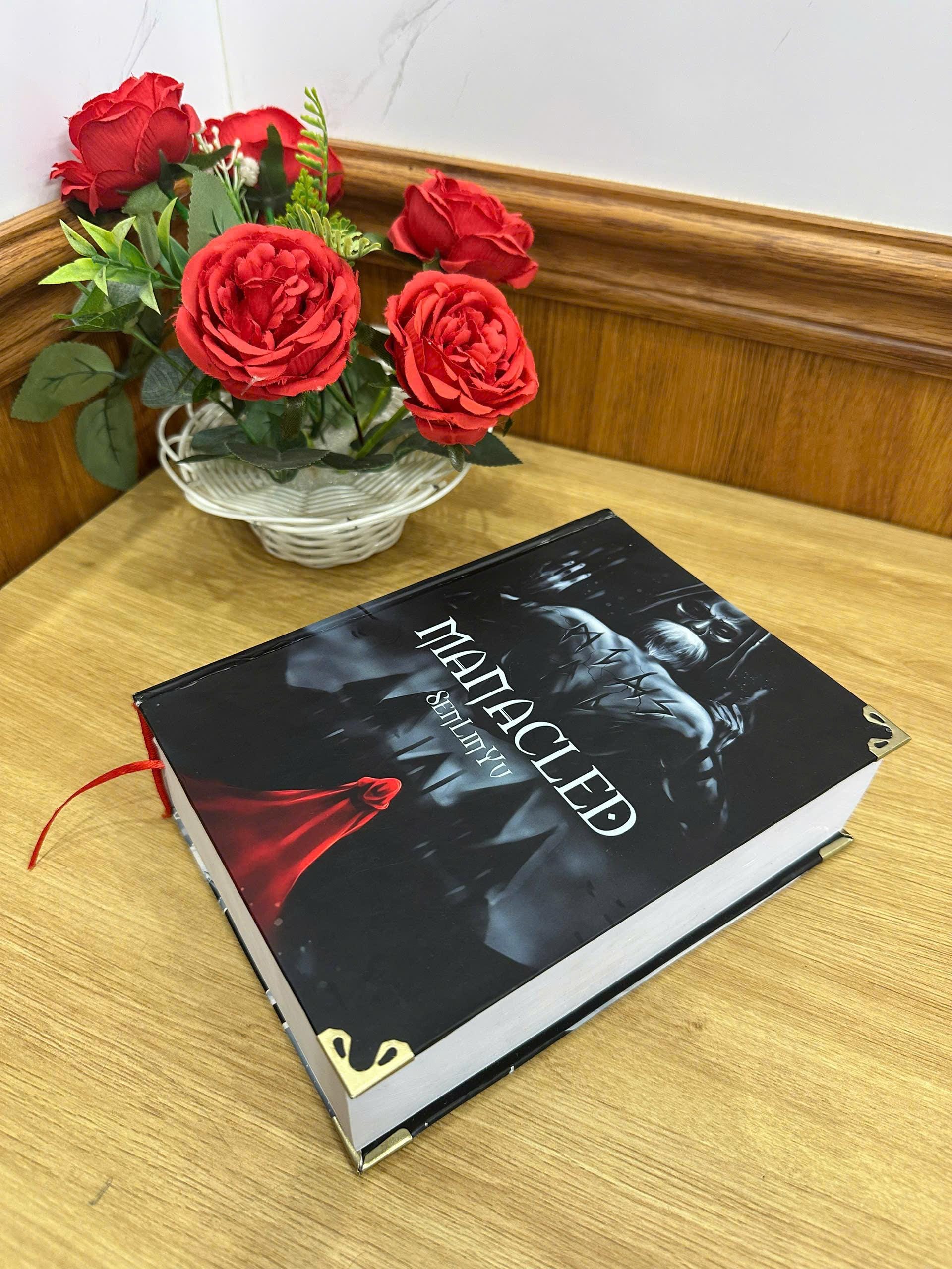 MANACLED Hardcover Book: Illustrated Romantic Dramione Fanfiction, Fantasy Cover Art