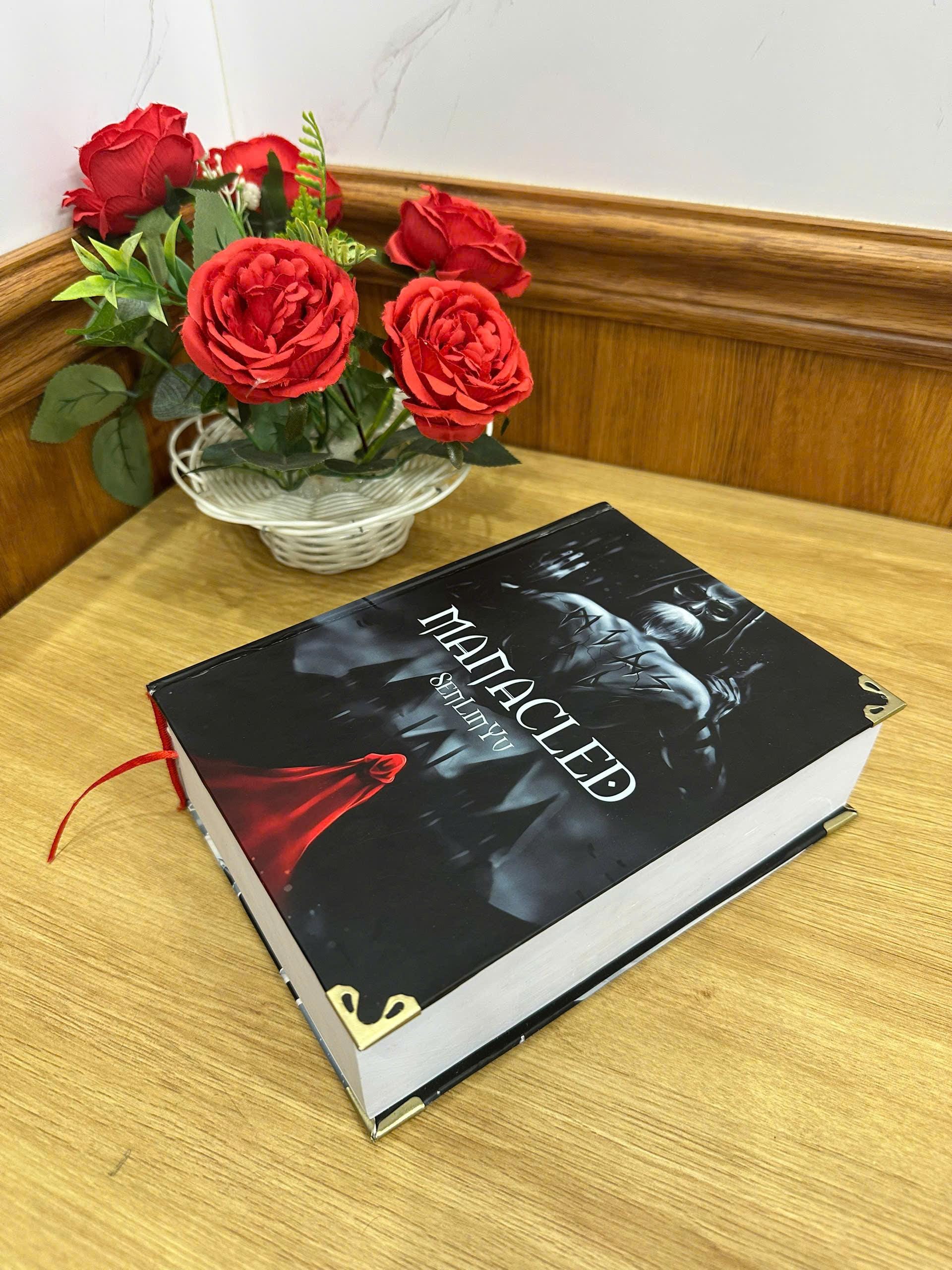 MANACLED Hardcover Book: Illustrated Romantic Dramione Fanfiction, Fantasy Cover Art