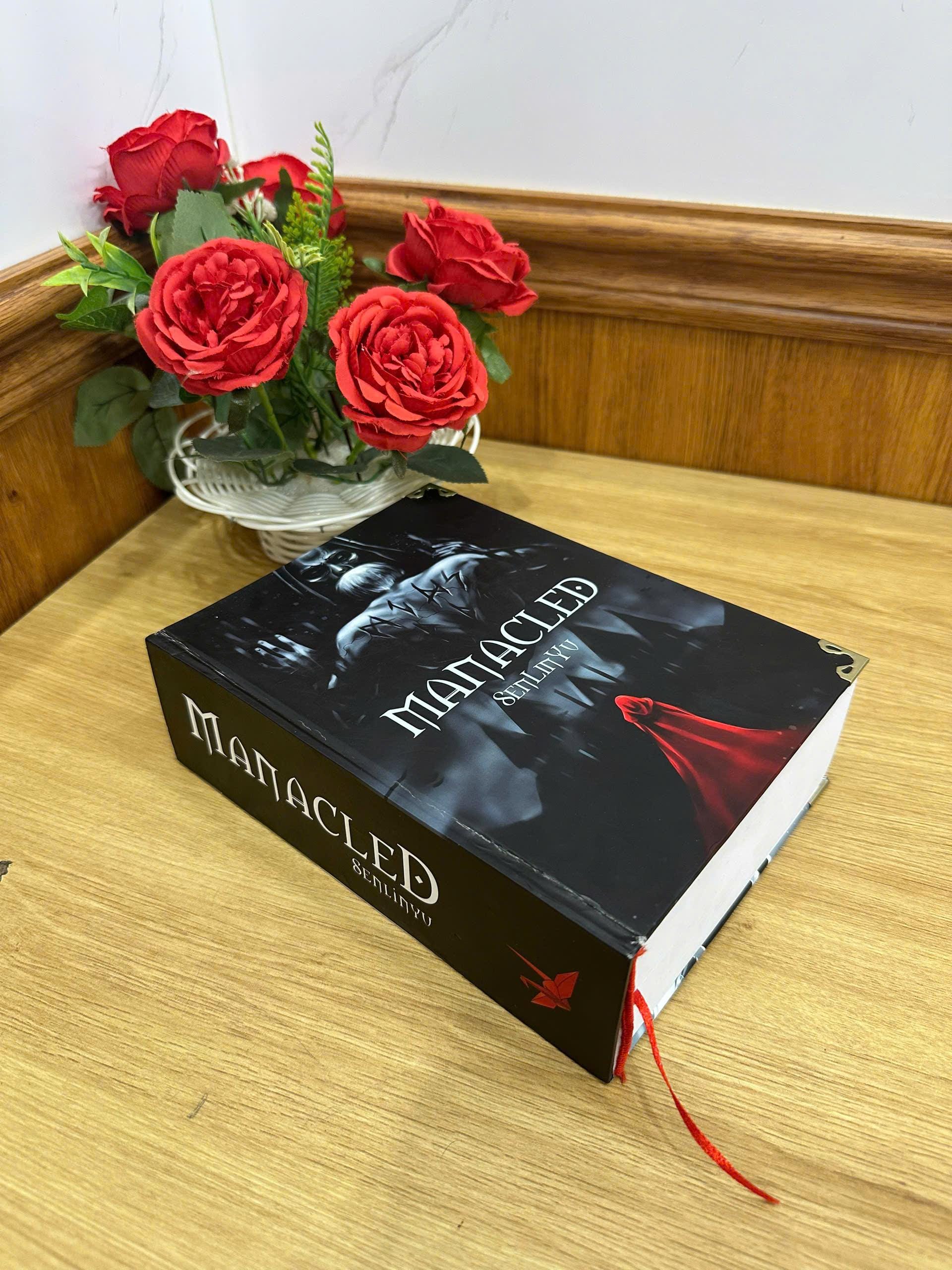 MANACLED Hardcover Book: Illustrated Romantic Dramione Fanfiction, Fantasy Cover Art