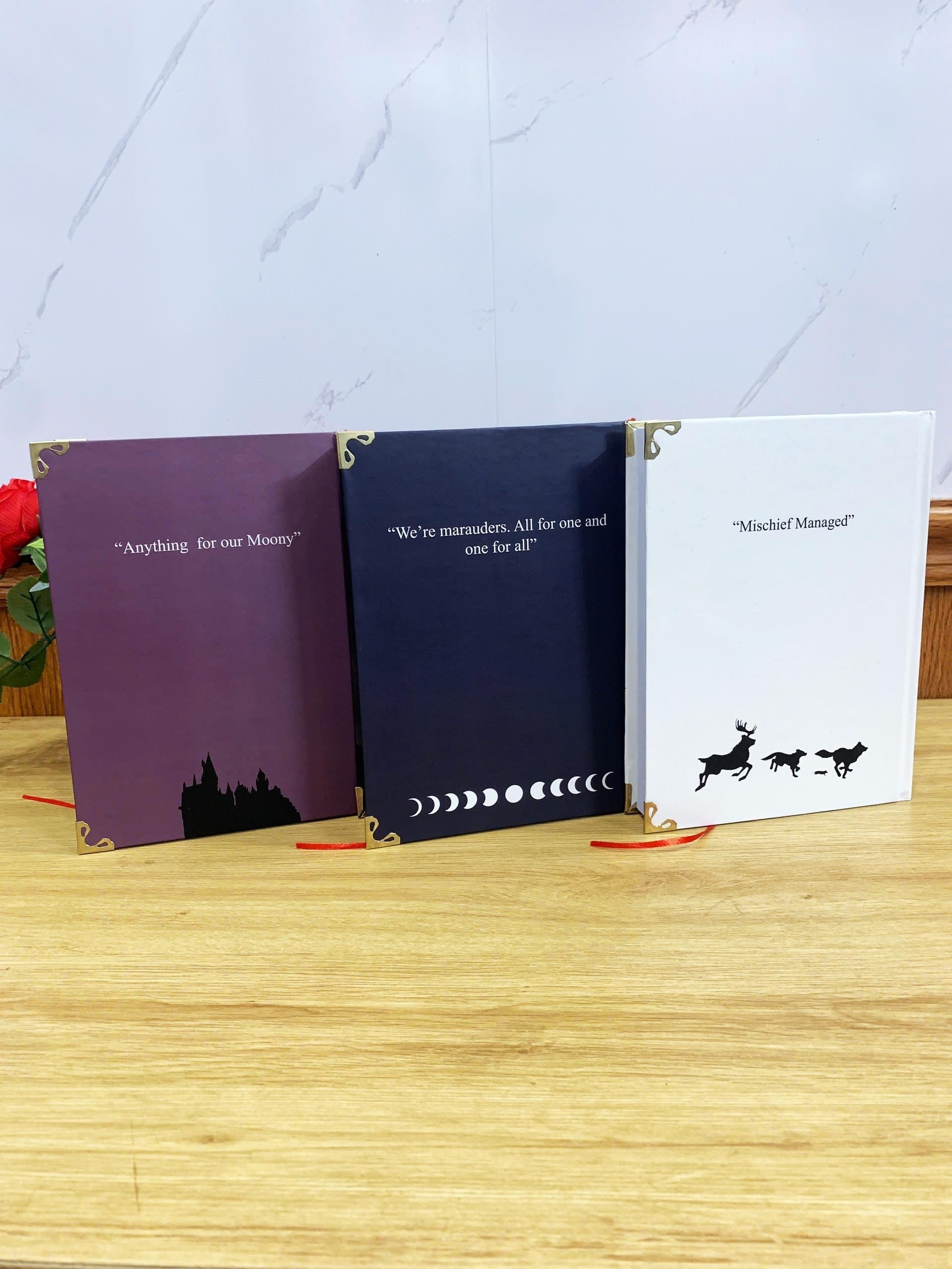 All The Young Dudes with 3-Volume Set: Hardcover Collection, Illustrated Romantic Dramione Fanfiction, Color Cover