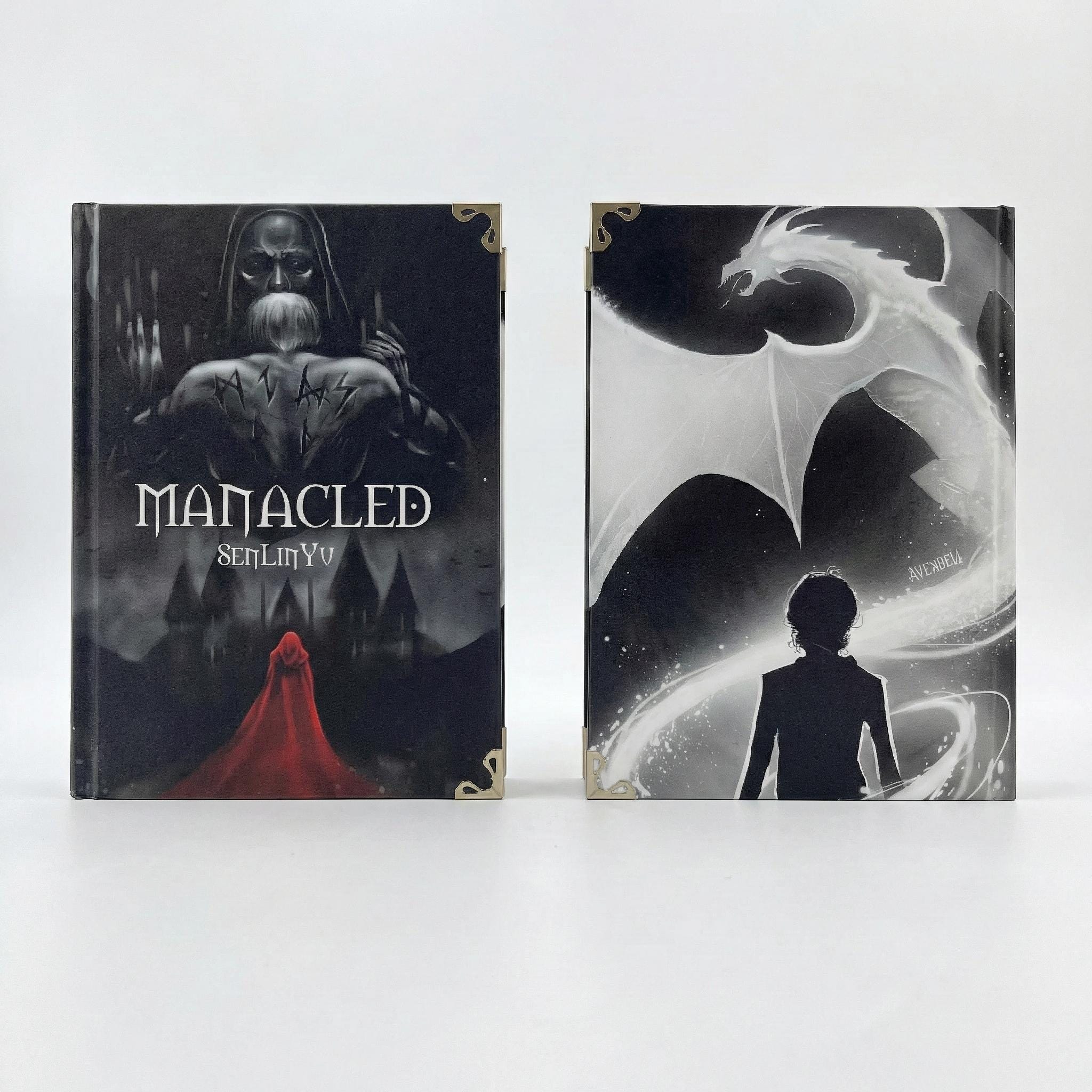 Manacled Hardcover Book – 3-in-1 Collector's Edition, Illustrated Dramione Fanfiction