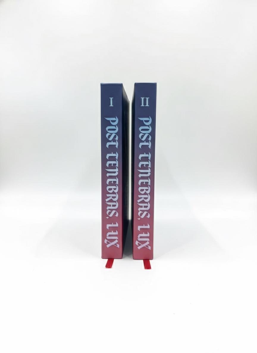 POST TENEBRAS LUX – 3 Volume Hardcover Fanfiction Book Set | Illustrated Romantic Dramione | Collector Edition Gift