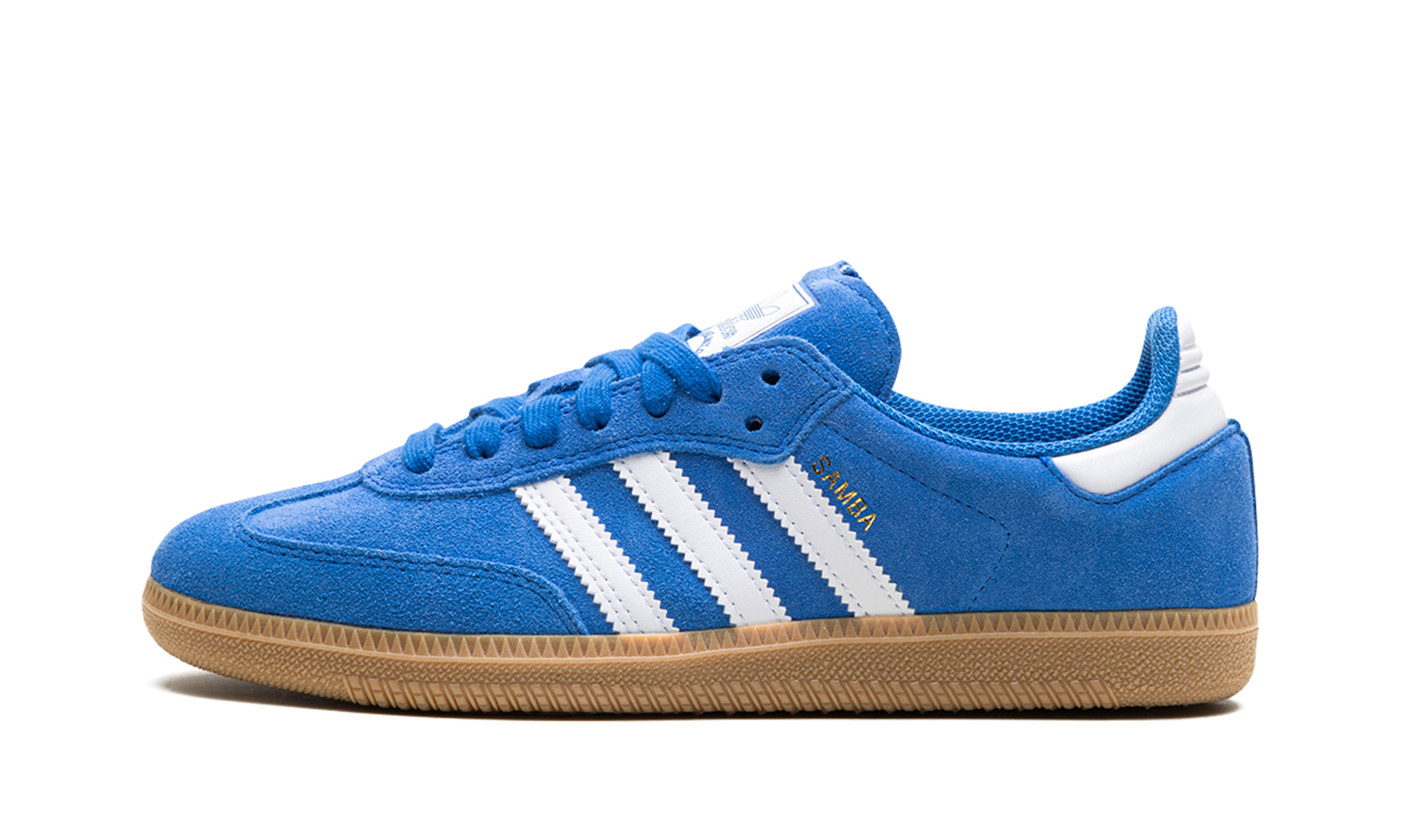 Samba Adv "Blue Bird"