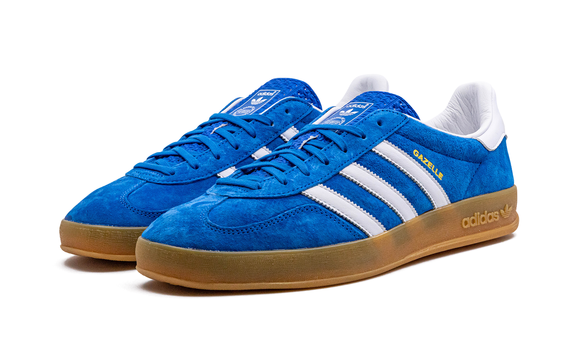 Gazelle Indoor "Blue Bird"