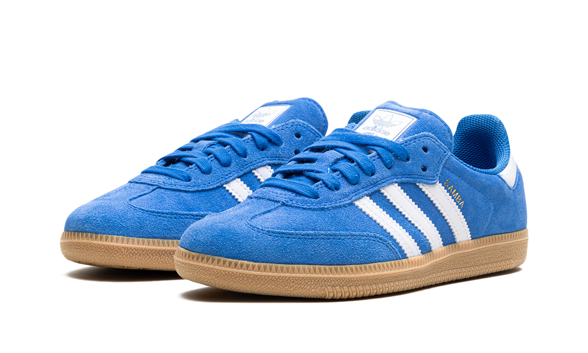 Samba Adv "Blue Bird"