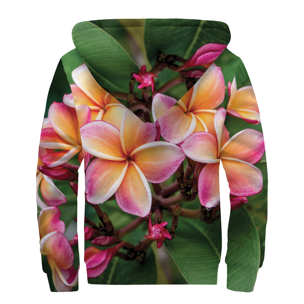 Flower Power Sherpa: Pink and Yellow Plumeria Hoodie for Groovy Hippies - 2