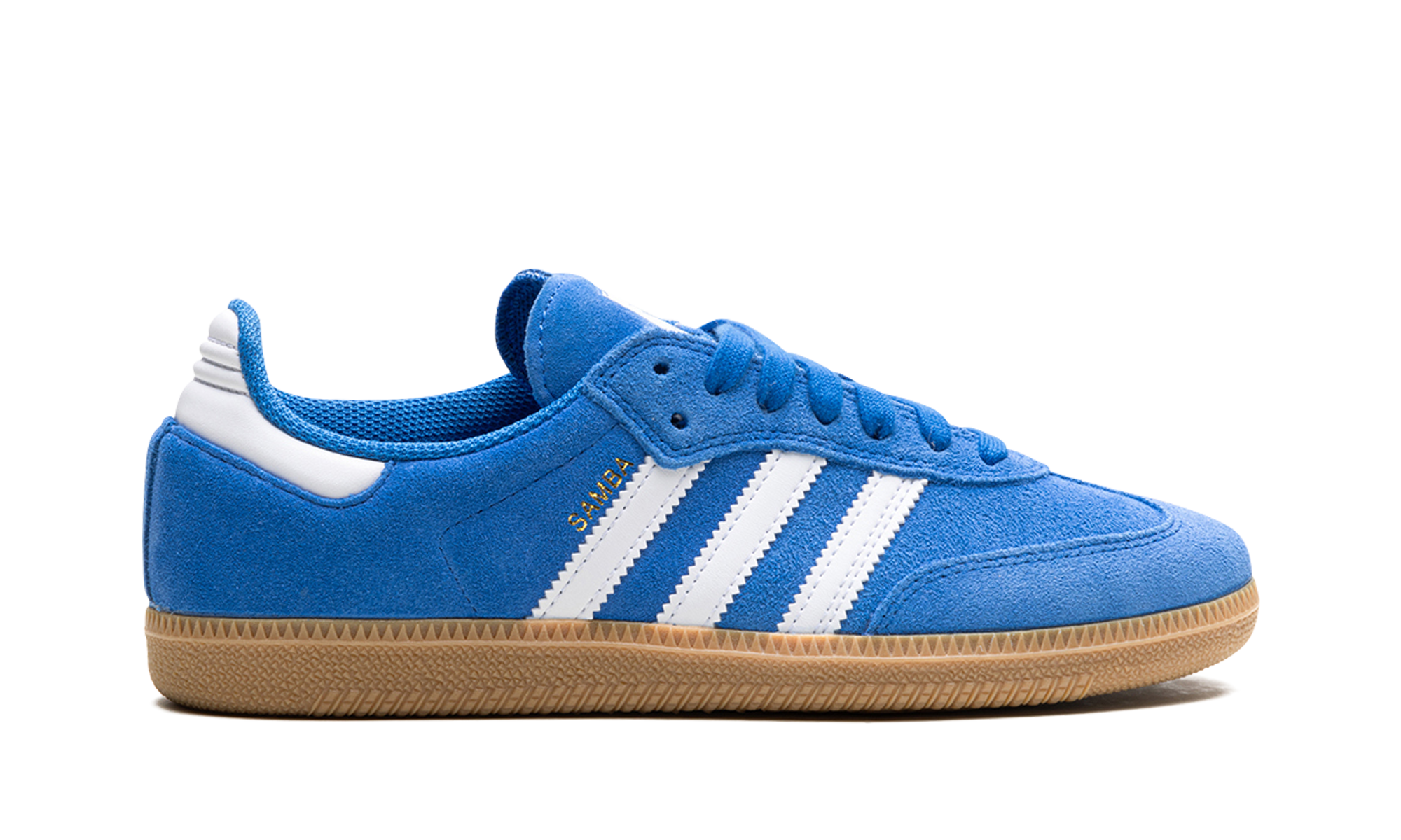 Samba Adv "Blue Bird"