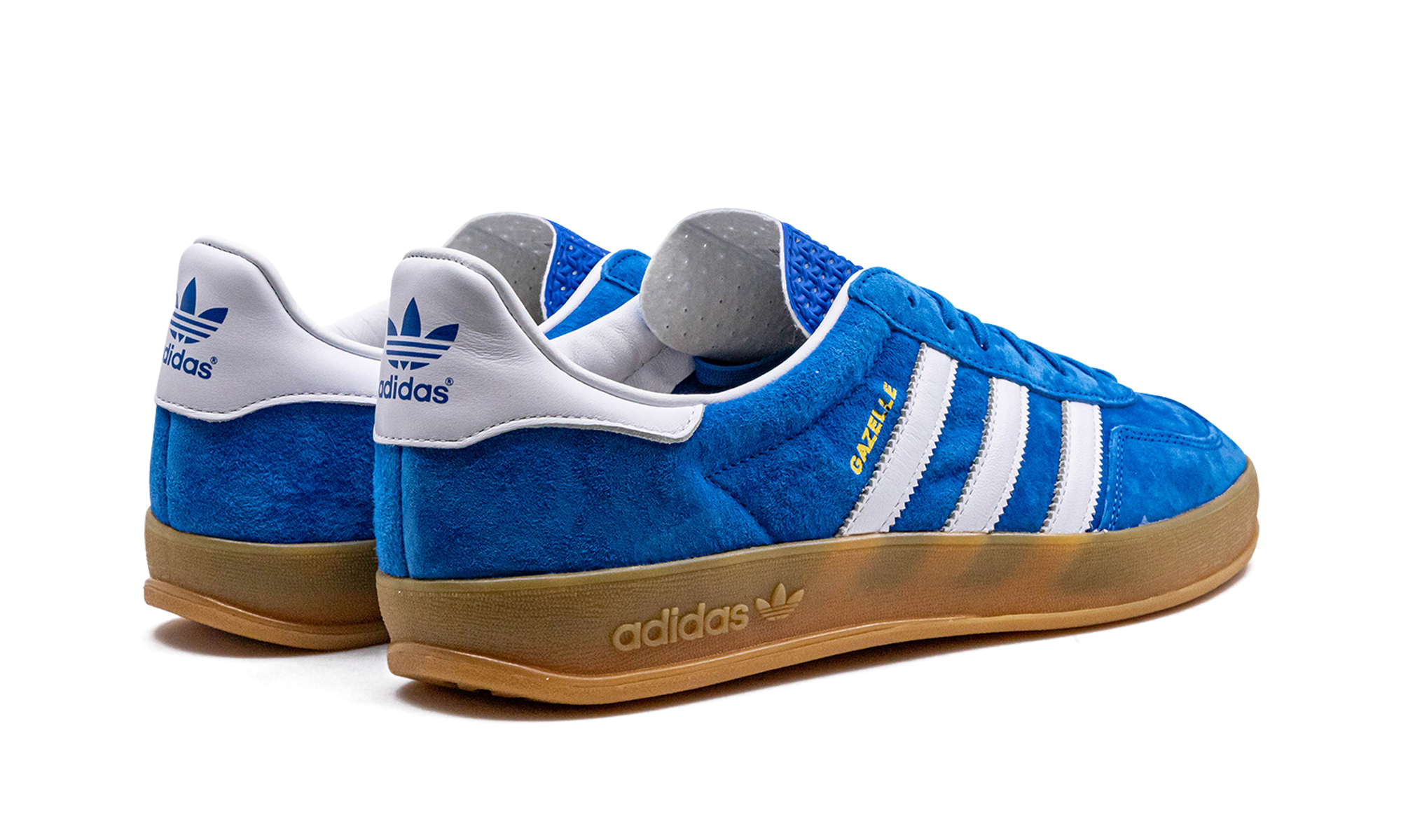 Gazelle Indoor "Blue Bird"
